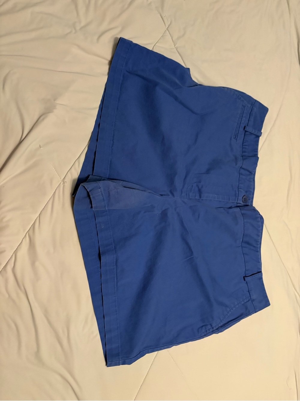 Talbots Royal Blue Women's Shorts